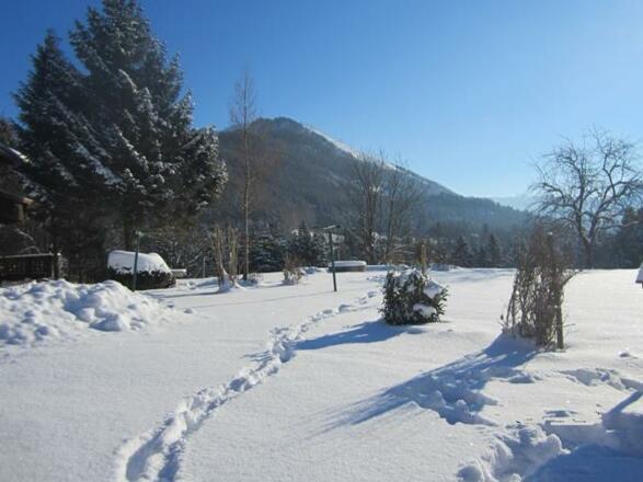 Spuren im Schnee - Blick von Fewo