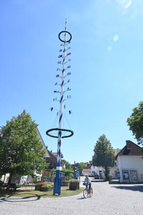 Maibaum in Puchheim-Ort