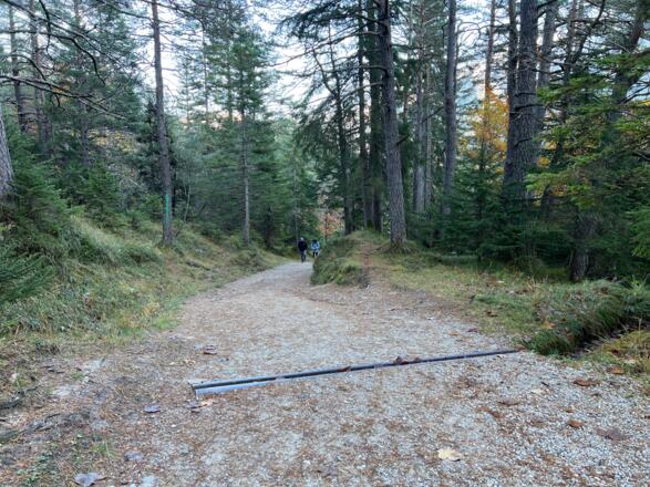 Wanderweg vom Lerchensee runter zum Lautersee