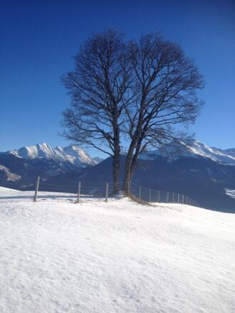 Winterlandschaft in der unmittelbaren Nähe