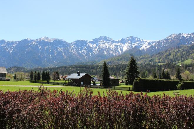 Aussicht vom Wellnessbereich