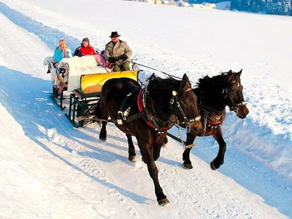 Pferdeschlitten `Am Ferienbauernhof`