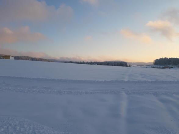 Langlaufen in Windhaag bei Freistadt