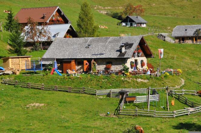 Alm  2009 041