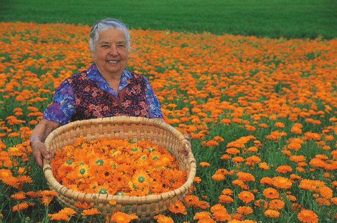 Bäuerin auf Ringelblumenfeld
