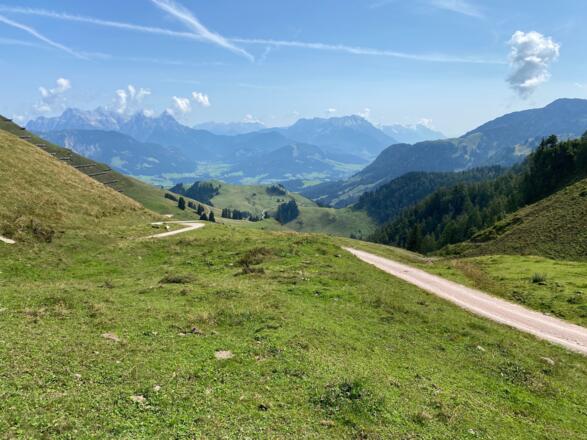 Nicht mehr weit ist es zum Hornköpfl, doch die letzten Meter sind durchwegs steil.