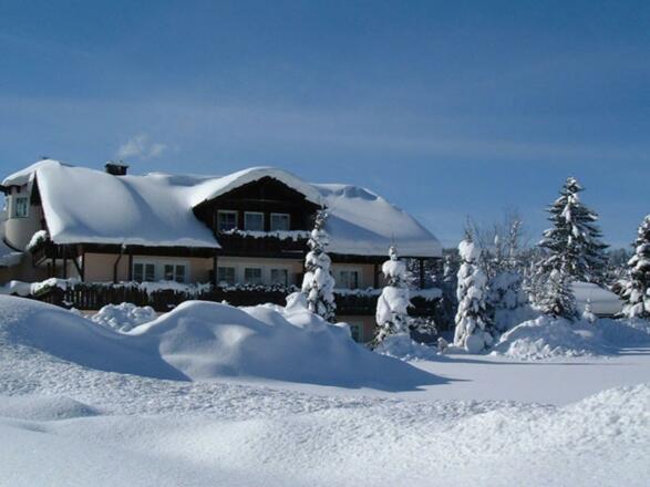 Alpenkönig_Winteraufnahme