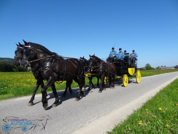 Mit der Sterngartl-Postkutsche durchs schöne Mühlviertel