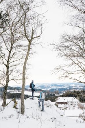 Schneeschuhwanderung im Mühlviertel