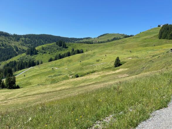 Aussichtsreich gewinnt man rasch an Höhe.