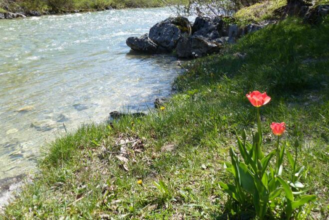 Spaziergang in der Weißachau