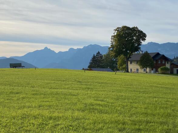 Bei Kogl