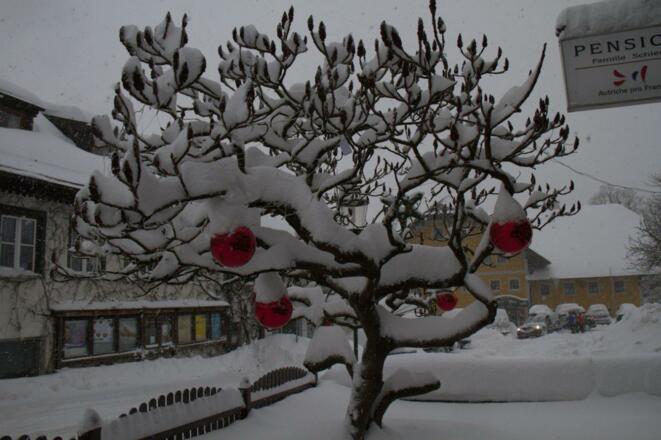 Pension Schierl Winter Essigbaum