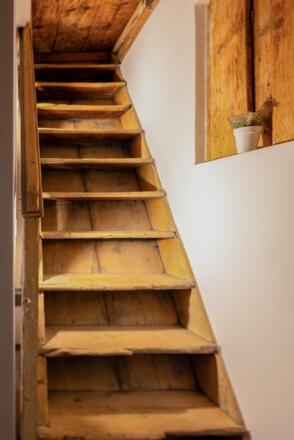 13 - _34A6460-CR3_DxO_DeepPRIME