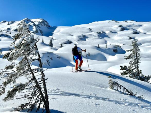 Skigebiet Ifen - freier Skiraum