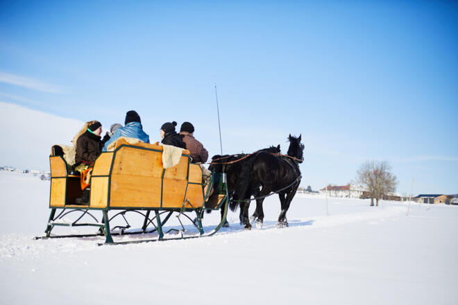 Pferdeschlitten-Reingruber-11-12-08