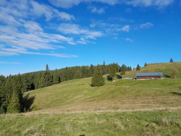 Der sanfte Gipfel des Längenbergs mit der gleichnamigen Alm