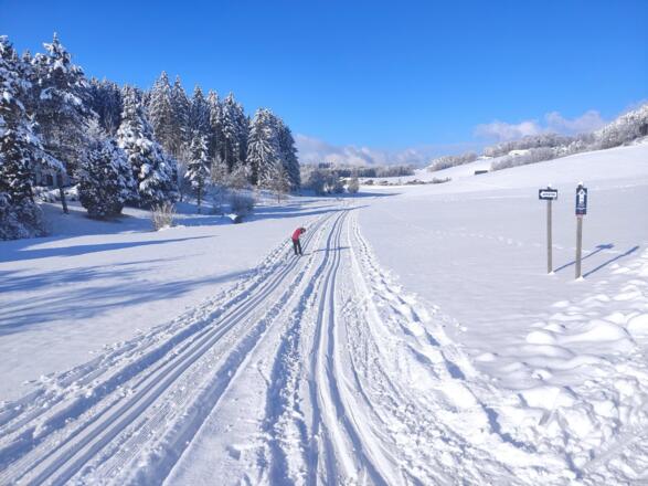 Färberloipe (26) Start