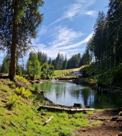 Wandern Kitzbuheler alpen, Panoramatrail