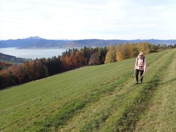 Am Weg zum Gahberg-Hof
