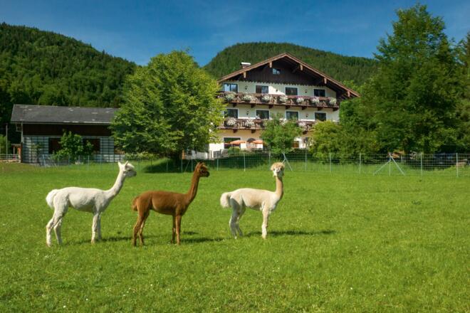 Das Franzl - Bett & Brot