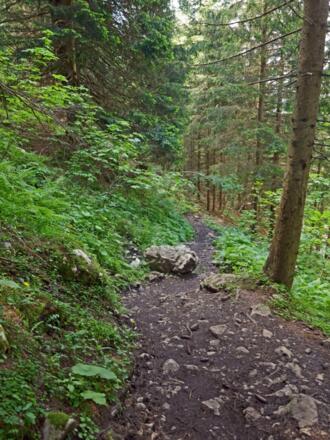 Abstieg nach Hinterbrand