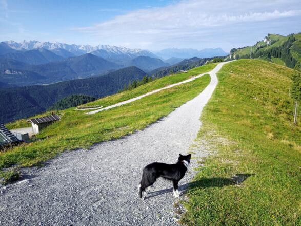 Wer will, nimmt zu Beginn noch den Brauneck-Gipfel mit.