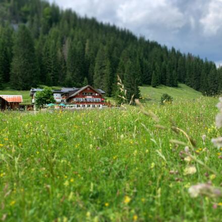 Außenaufnahme Sommer