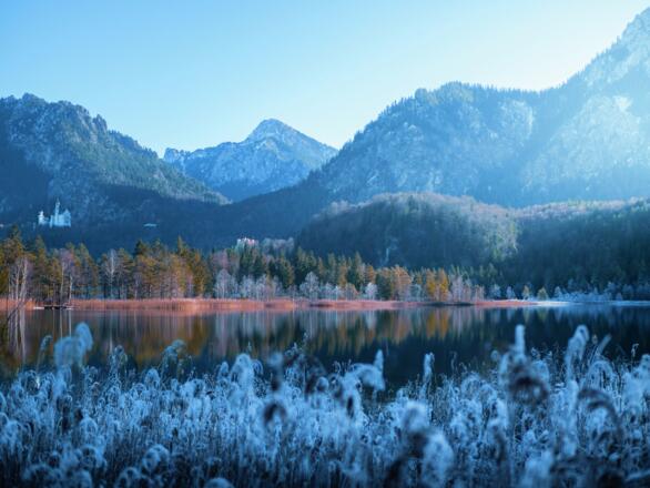Schwansee mit Blick auf Neuschwanstein