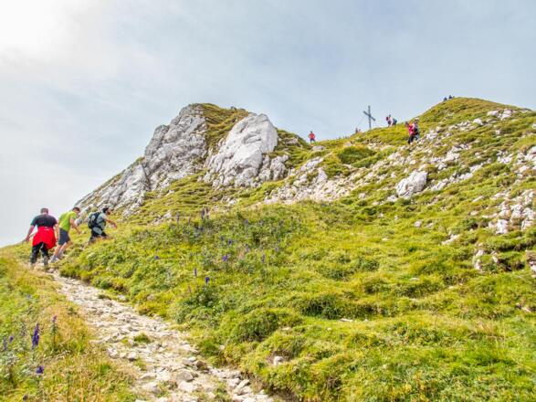 Die letzten Meter bis zum Gipfel geht es über denen schönen Bergpfad nach oben.