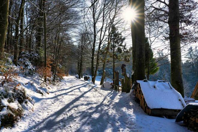 20230124 Silberberg Winter Sonne Barbara Kapelle-2.jpg