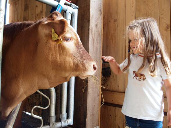 Tiefer Blick in die Augen