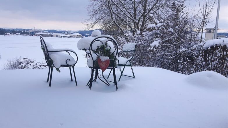Gartenblick im Winter