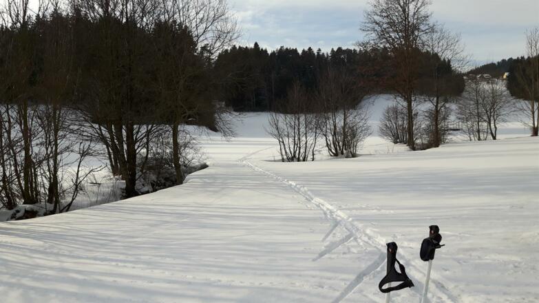 Bei der Langalufloipe