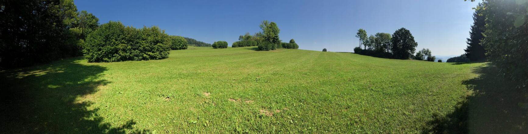 Mühlviertler Roalandschaft