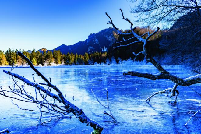 Zugefrorener Schwansee