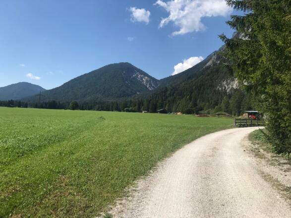 Bikeweg Richtung Gießenbach