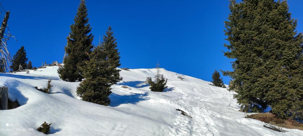 Winterblick vom Tabor