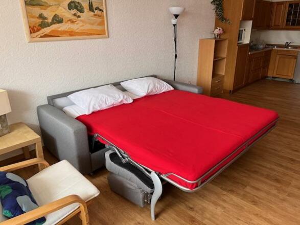 Schlafsofa 232