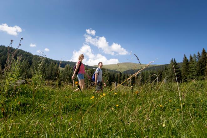 Wandern