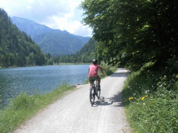 entlang des Förchensees  zurück zum Ausgangspunkt
