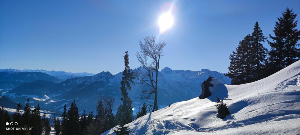Winterblick vom Tabor5