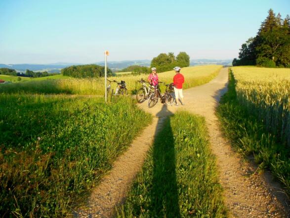 E-Biken im Mühlviertel