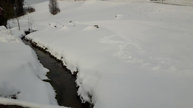 Bei der Langlaufloipe