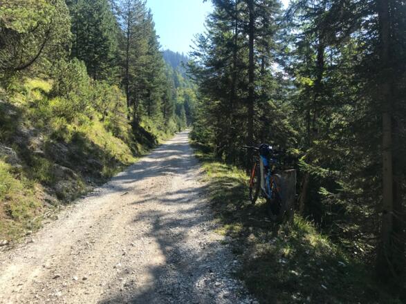 Auffahrt zur Oberbrunnalm