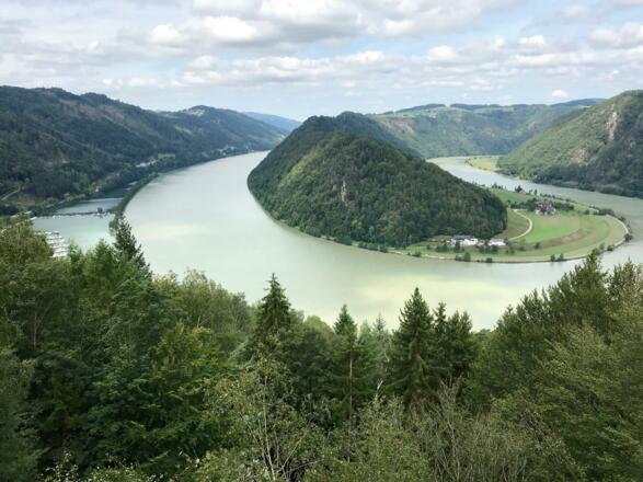 Das Naturwunder Die Schlögener Schlinge