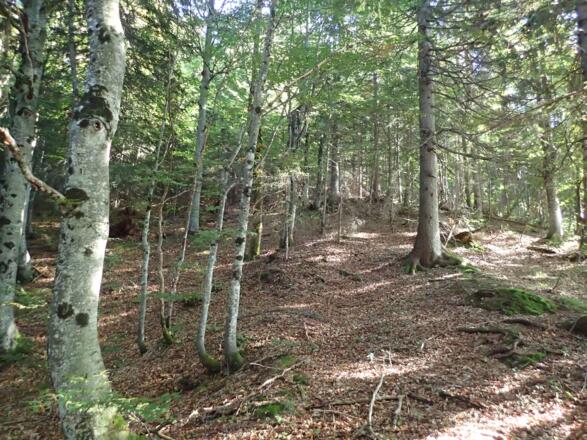 Wegloser Anstieg im unteren Teil