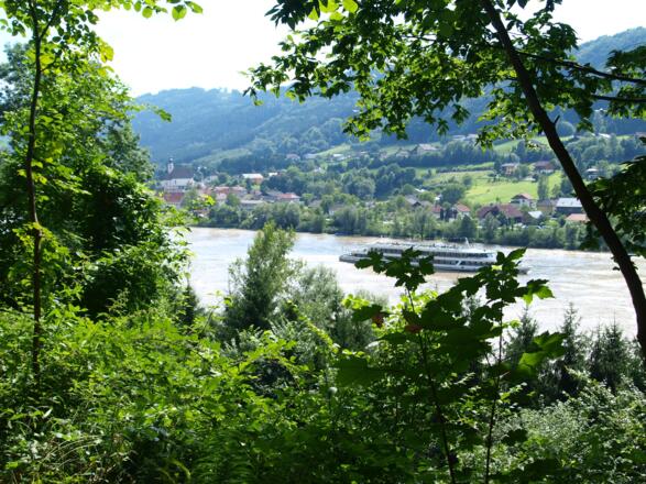 Auf einer Wanderung zur Donau