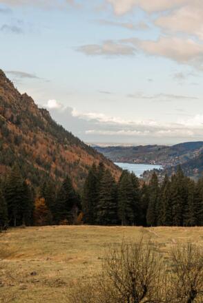 https://images.bs.ds-srv.net/objekt_pics/obj_full_139226_020.jpg