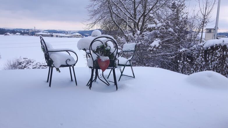 Gartenblick im Winter